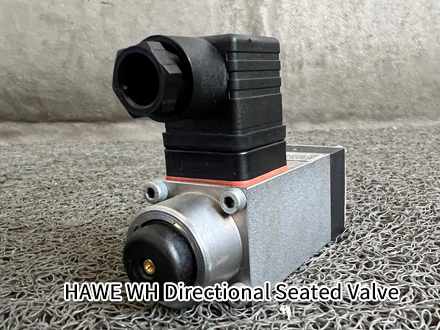 HAWE WH 2 F-G 24 HAWE WH 2 F-G 24